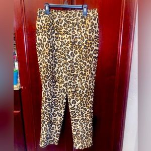 H&M leopard pant size 4 elastic waist